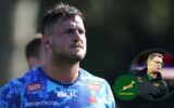 Rassie Erasmus Adds 54th Man to Springboks Squad — and He’s a Stormers Lock with Something to Prove