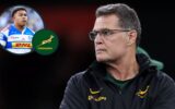Rassie Erasmus Says COVID Cost the Springboks an Entire Generation of Talent