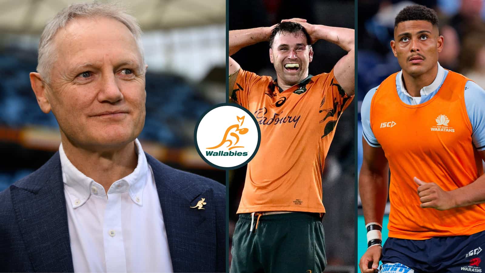 Joe Schmidt’s Wallabies Squad Drops Two Big Names and Leans Into a Brawler Mentality