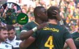 Cheslin Kolbe Caught Between Brilliance and Chaos as Springboks Run Rampant Over Barbarians