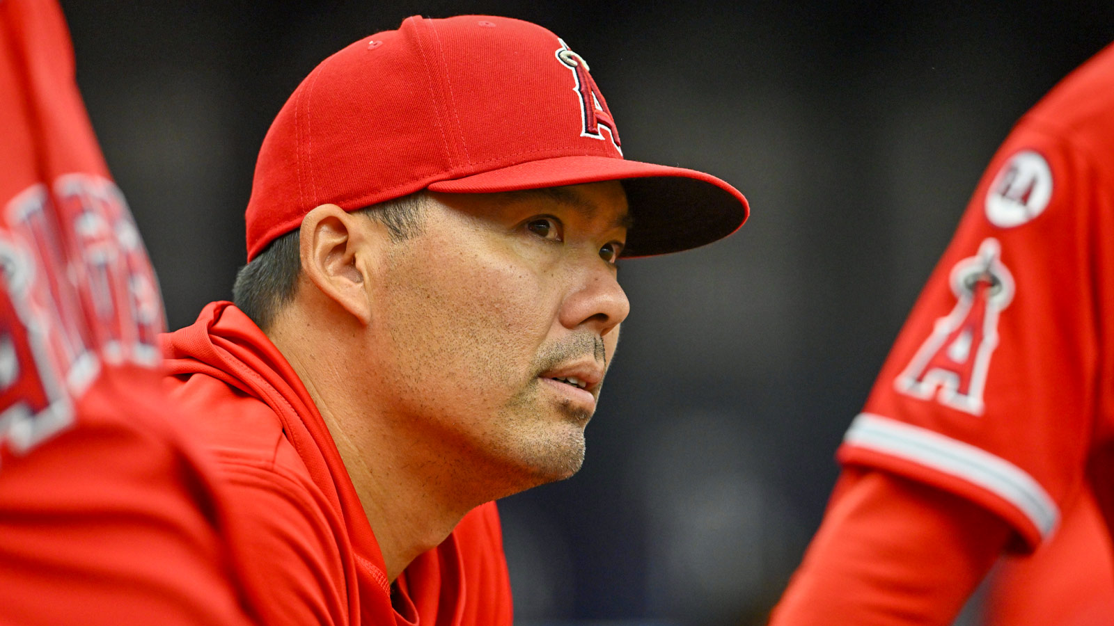 Sammy Peralta Back with Angels After Turning Down Rockies Assignment