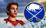 Sabres and Ducks Swapped a Defenseman. One of Them Might Have a Plan.