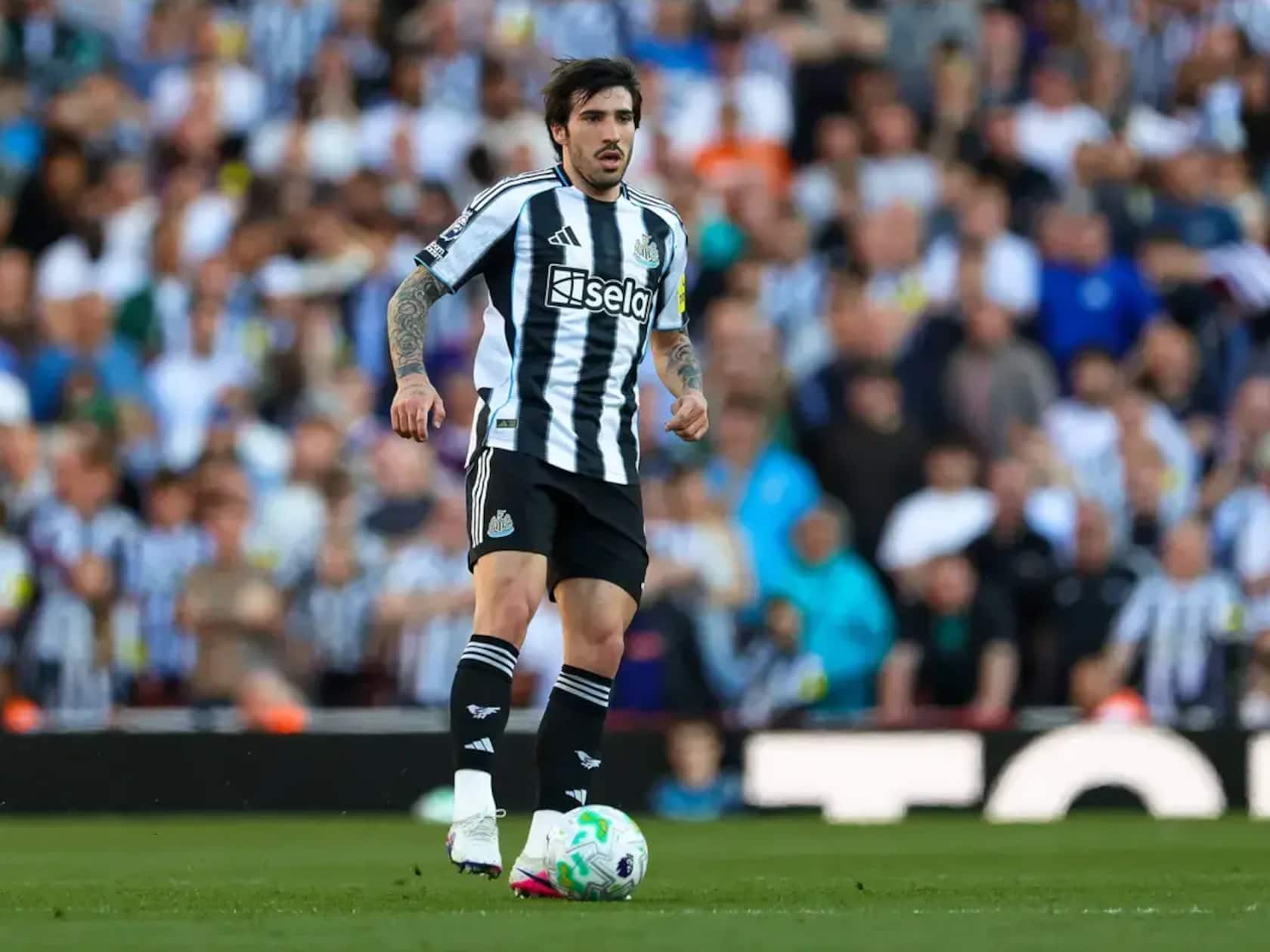 Manchester United Bow Out of Sandro Tonali Race as Tottenham, City and Arsenal Circle