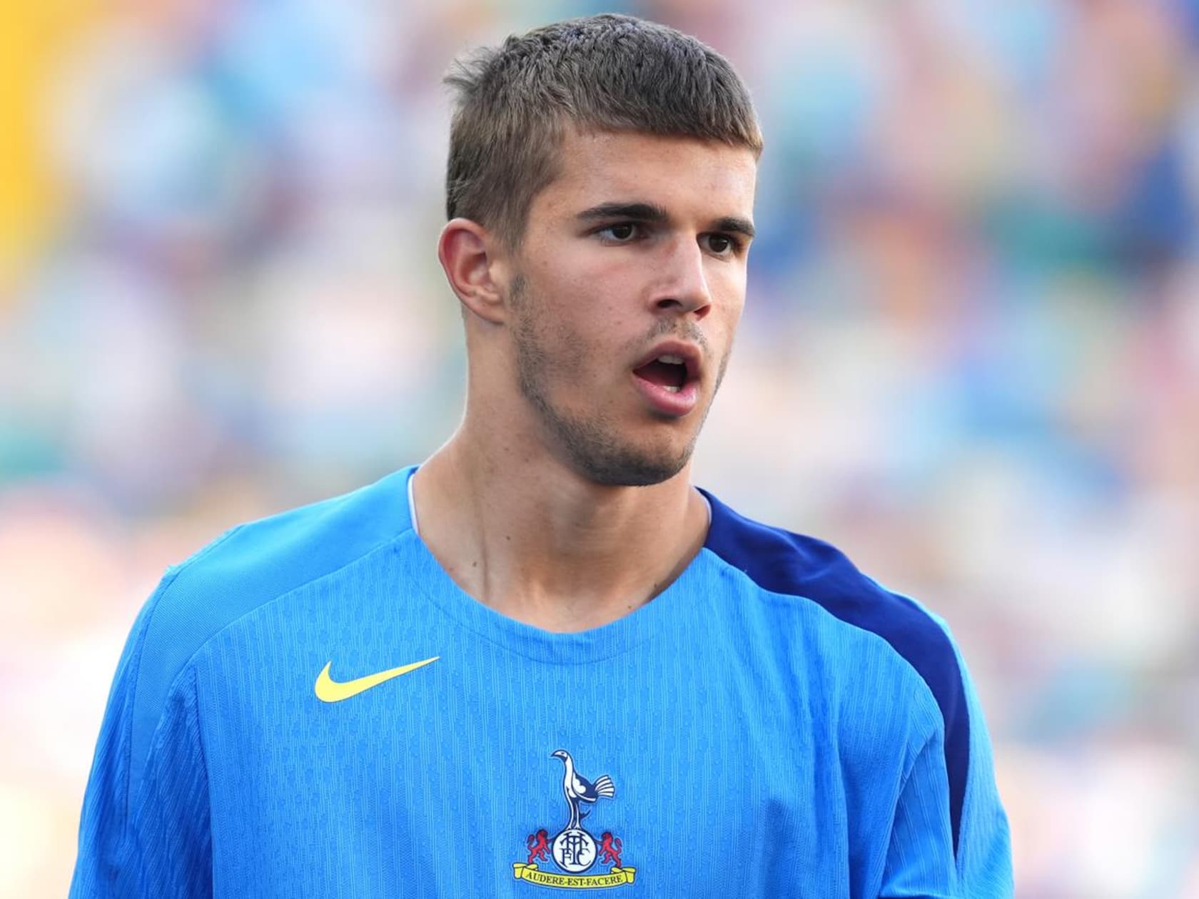 Luka Vuskovic Ready to Hand in Transfer Request After Brighton Pushes £45M Bid