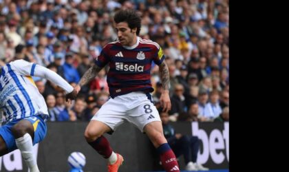 Tonali to United Back On? Spurs’ Push for Fernandes Could Reshape Two Midfield Races