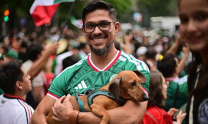 World Cup Meme Apocalypse: What the Viral Chaos Really Reveals