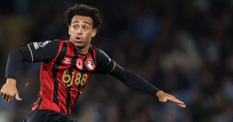 Man United Analysts Believe Tyler Adams Outshines Rodri in Key Areas — Here’s Why