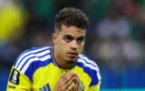 Swedish Star Apologized to Tunisian Fans After Scoring — Here’s the Emotional Reason Why