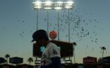 Baby Raccoons Hijacked a Dodgers Game and the Rockies Actually Won