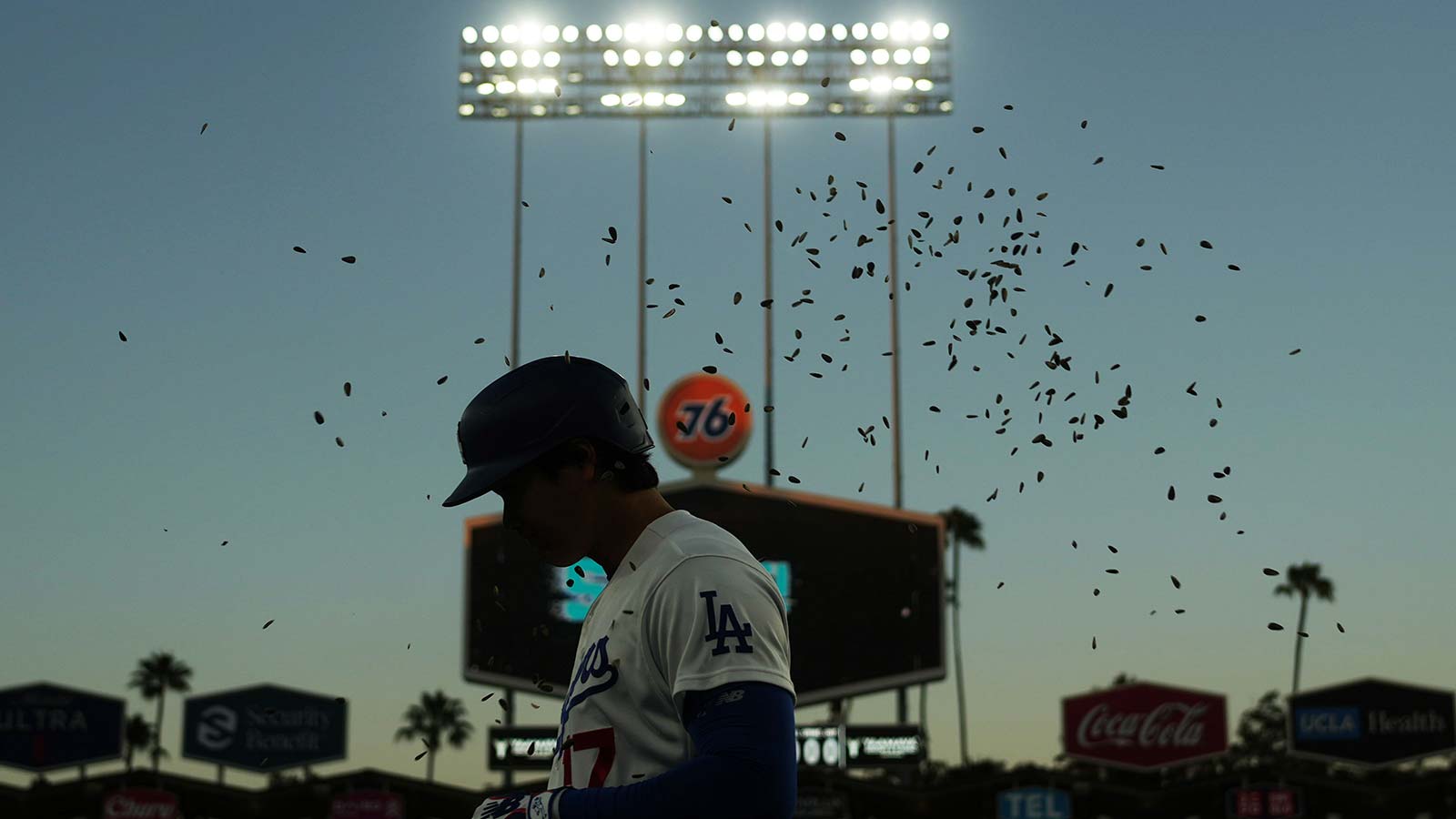 Baby Raccoons Hijacked a Dodgers Game and the Rockies Actually Won