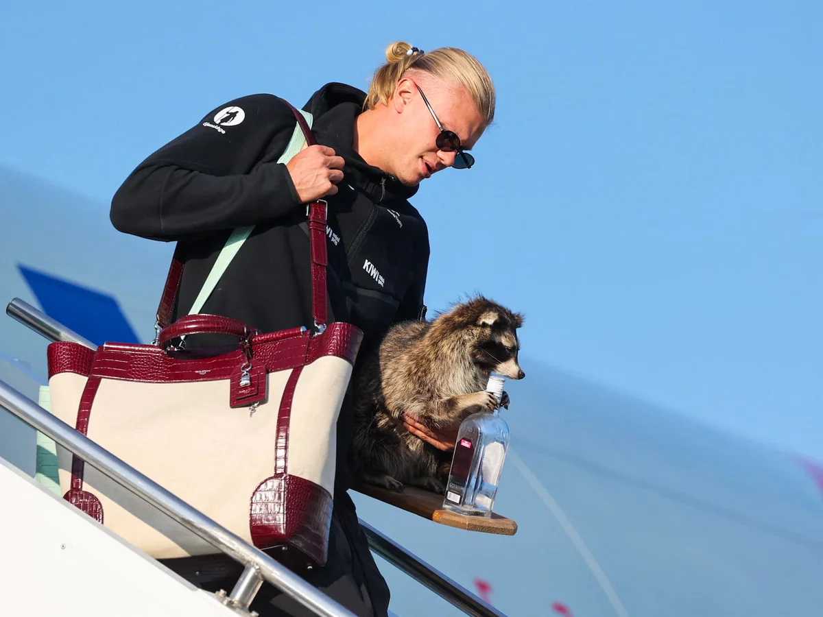 Erling Haaland Landed in Norway Holding a Stuffed Raccoon. That’s Not the Weirdest Part.